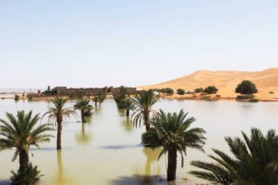 Las imágenes de las raras inundaciones en el desierto del Sahara que no ocurrían desde hace 50 años